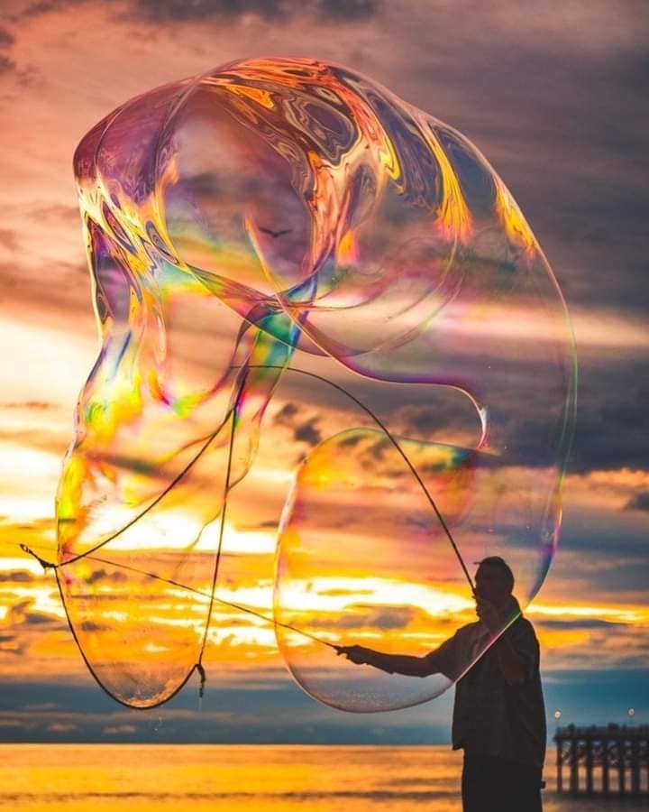 117618759_389114875394469_7222806411360205883_n