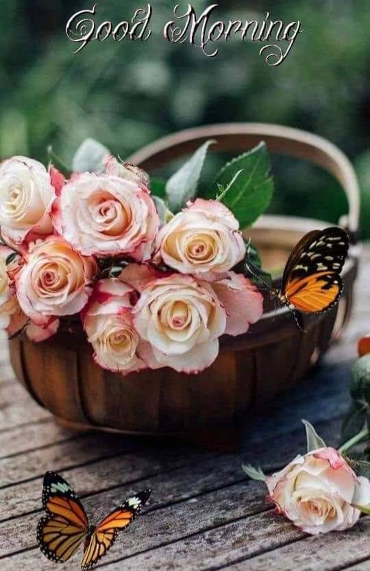 117634174_697714864144514_9071713780570510027_n