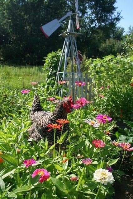 117641578_956257691539384_7421442539197496426_n