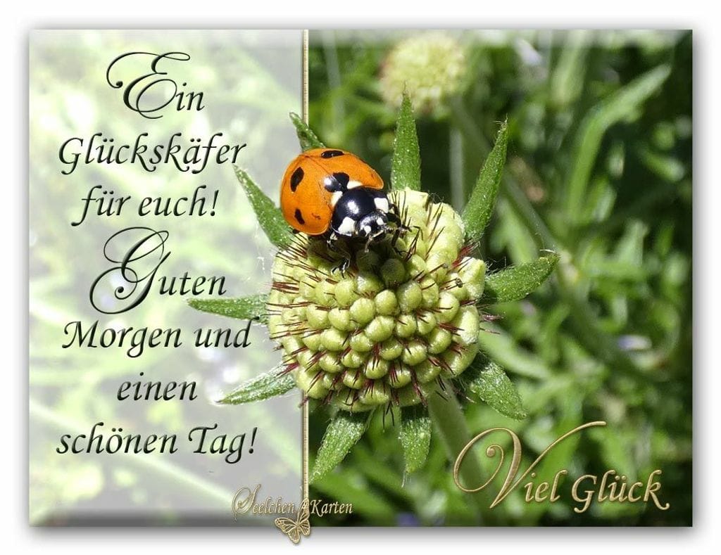 117681189_910754656087431_6791285149971470037_o