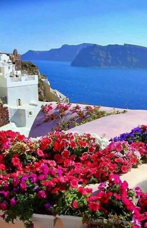 117745397_182236786628524_2359872418610774032_n