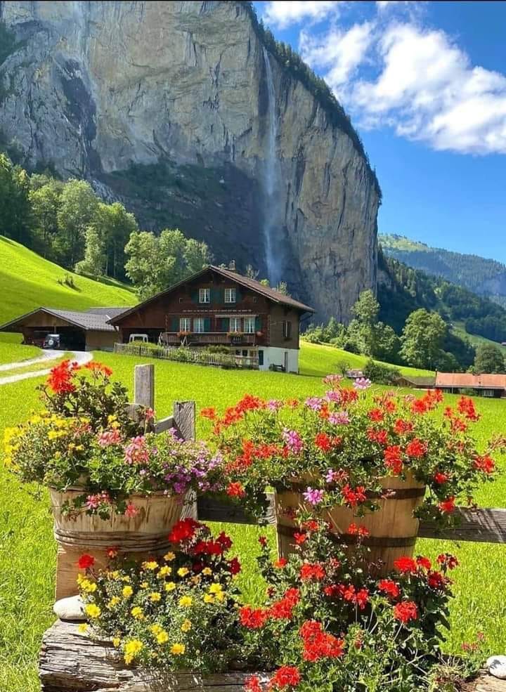 117875964_1944814875655507_2790176050402229435_o