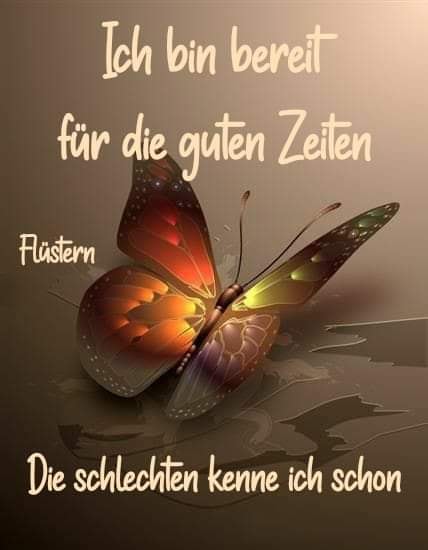 117950926_1198646273832678_3977136018591400065_n