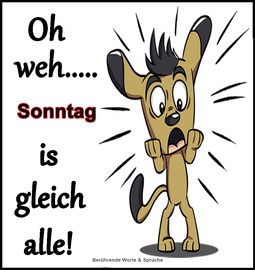 118241581_934746007031559_2263574576745282470_n