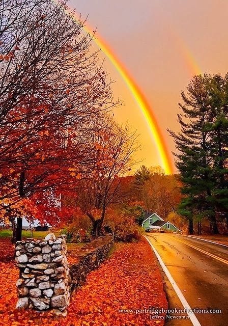 118333926_2078282262304535_5568690471843914168_n