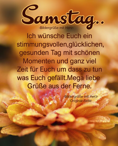 118527095_745811815989290_2890087310510119519_n.png Samstag