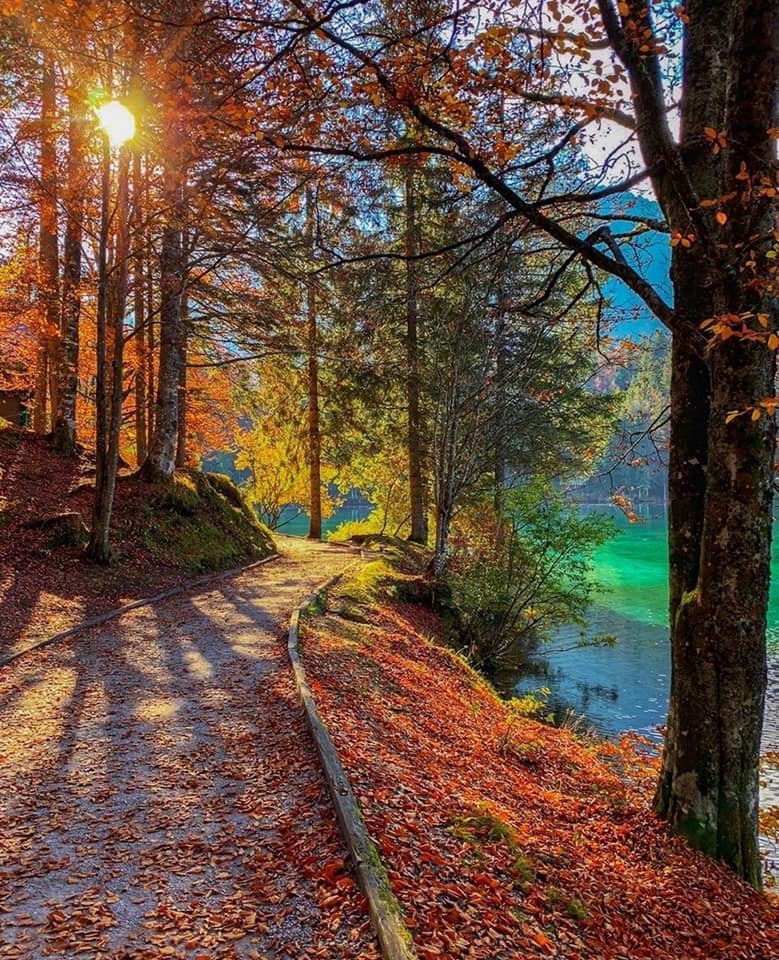 118749441_2089937064472388_4880533258436425445_n