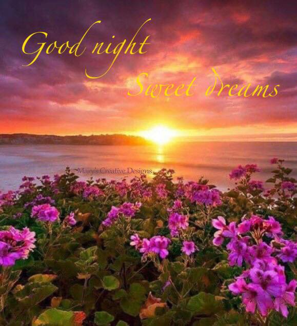 119506360_2720707631500370_6405409402240890089_n