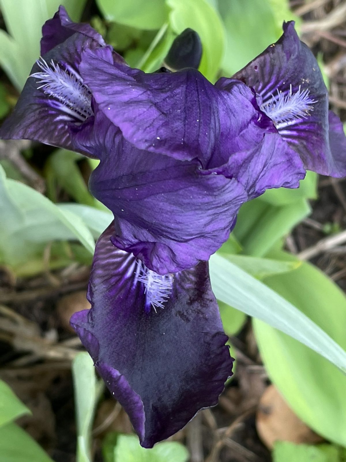 11C07CD9-272A-43AB-ADF2-47C2035C8A25