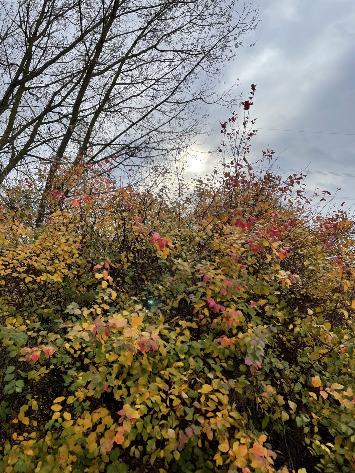 11C5C490-07CA-4813-9B9B-16ABD8A3D407