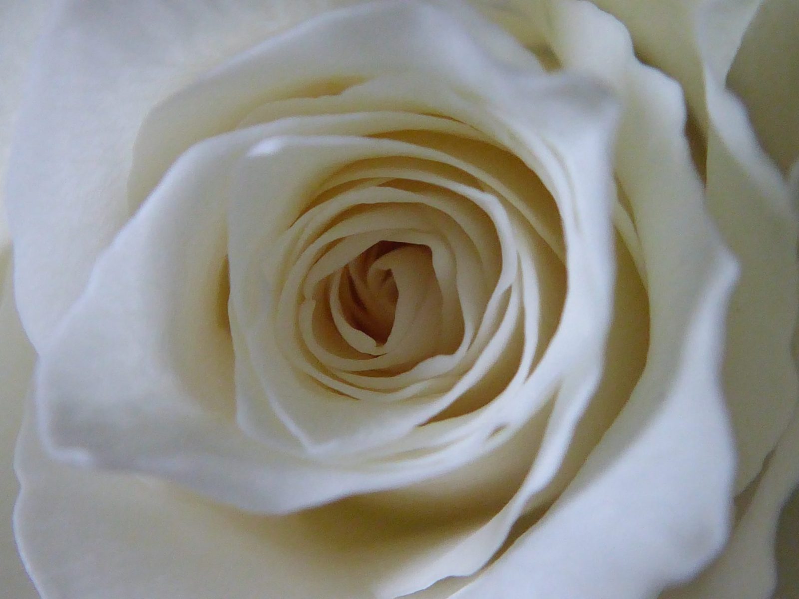 12.5.2020 Kalte Sofie (100)