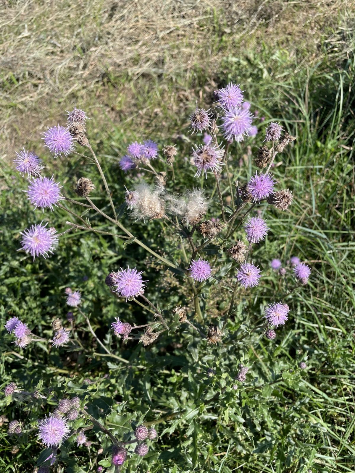 12024AA7-4662-43EF-BE73-EF3D47C1C395