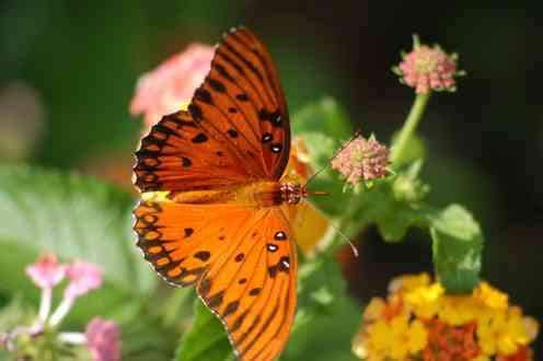 120314681_128154899030828_2993216434836550591_n