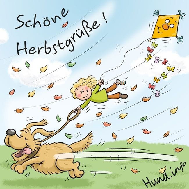 120340212_166691521720526_6114267073566058738_n