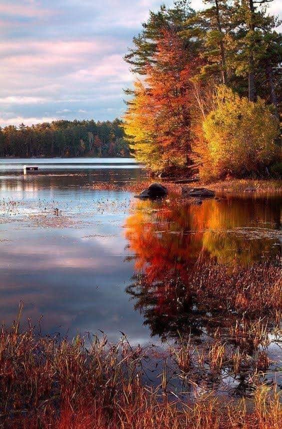 120443365_128638955649089_3962465305507623250_n