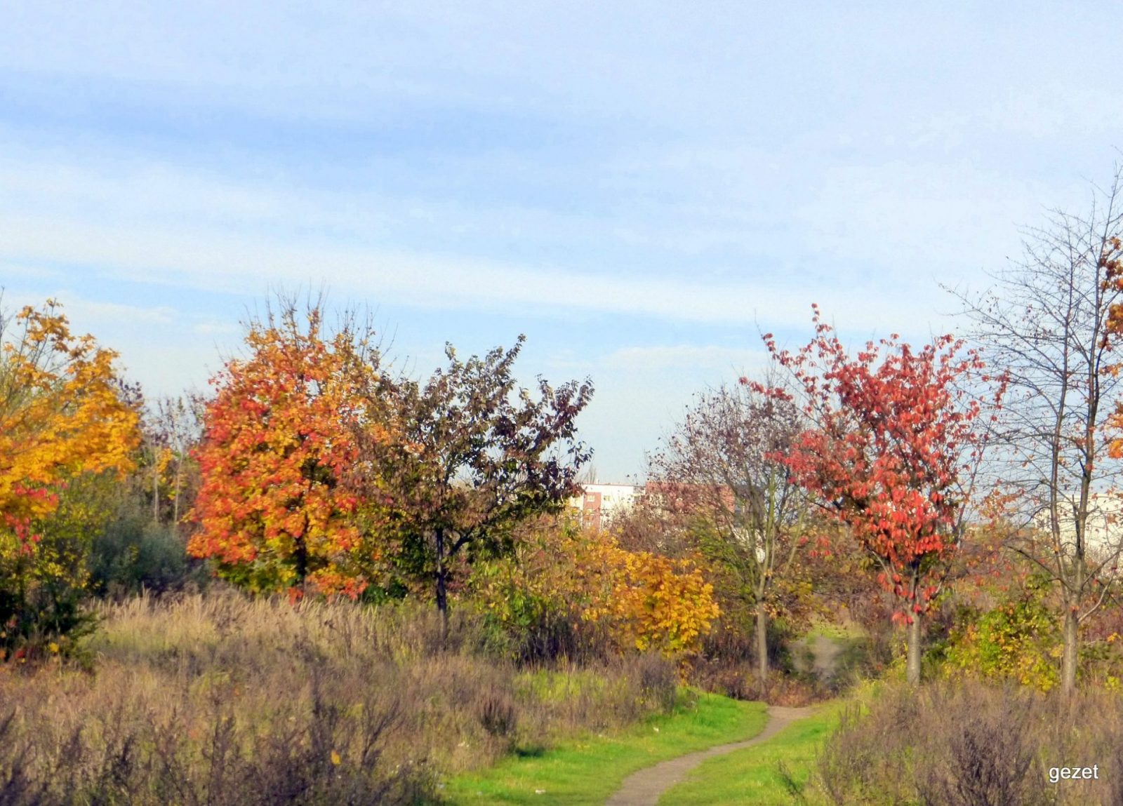 120483110_10223700777326370_1411776769359899384_o.jpg Herbst
