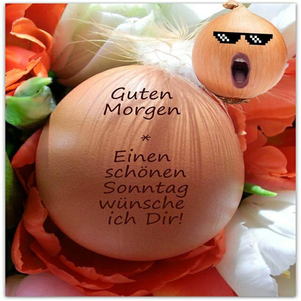 120576320_1060944280975443_8383471693086430493_o