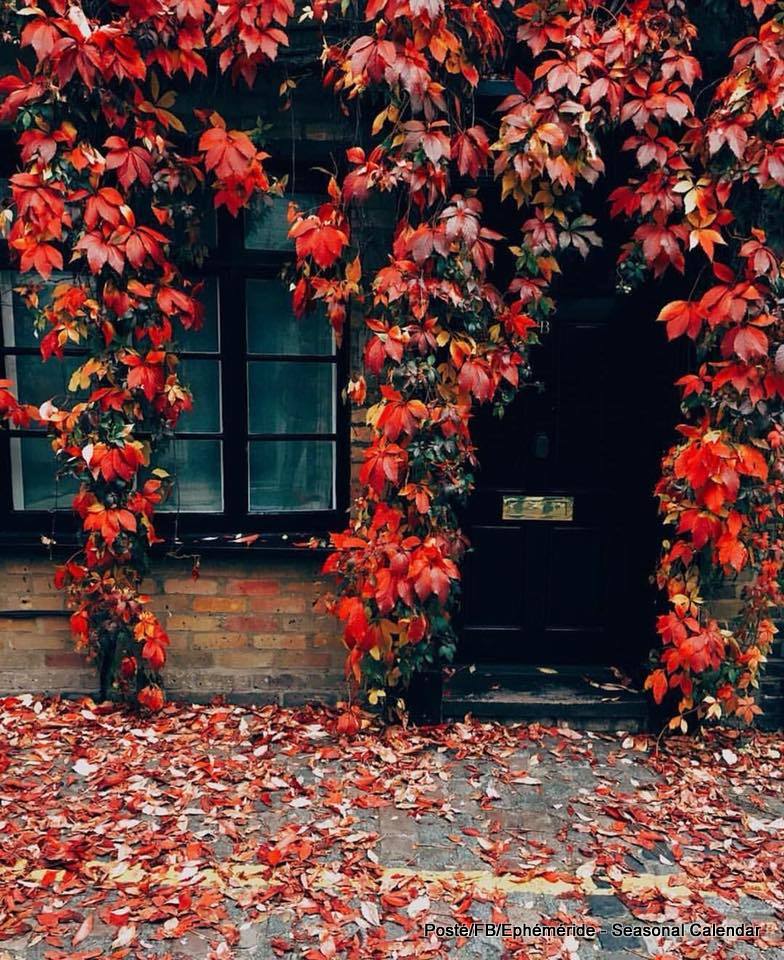 120765972_3597899443593459_9111670366113139530_n