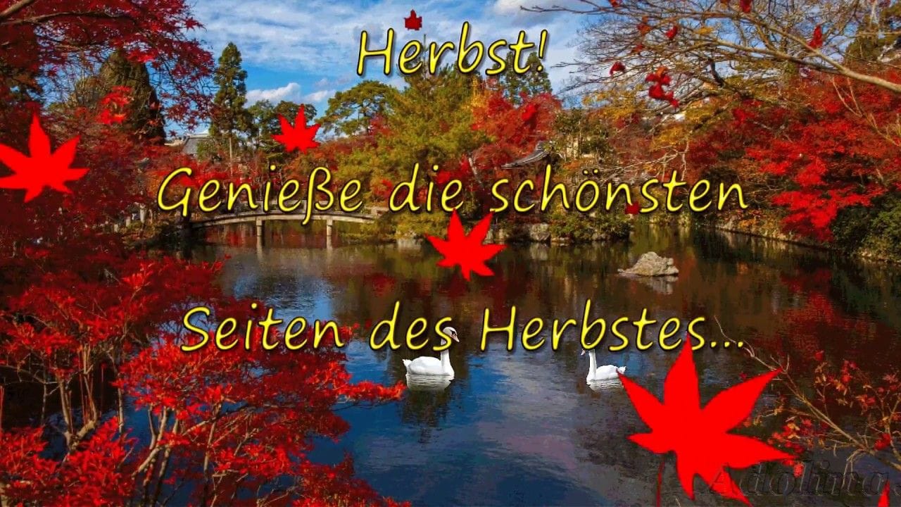 120777663_3354614351326295_2444092775163016432_o