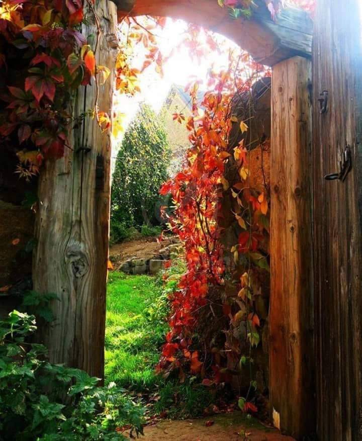 121023925_132244631955188_8372283906860077603_n