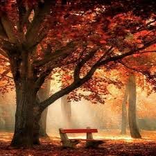 121173629_133602275152757_6139580881111352844_n