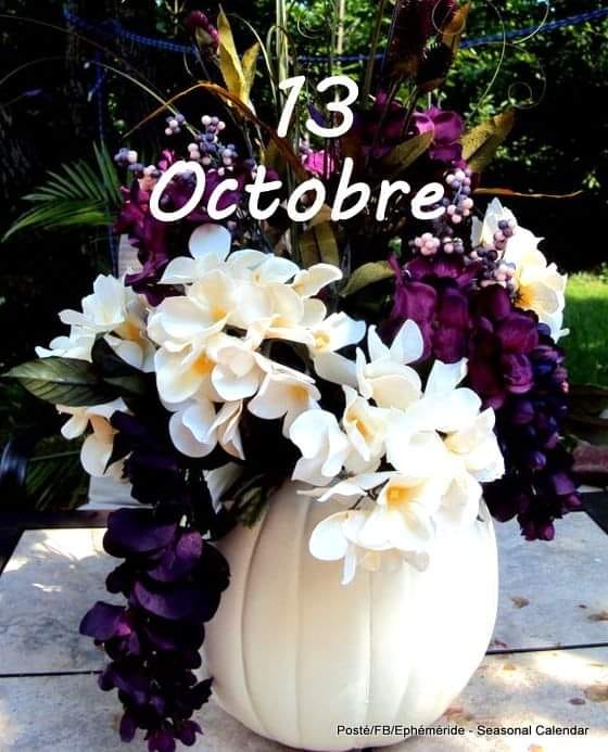 121361363_3378808675573529_6346837029292318347_n.jpg 13.