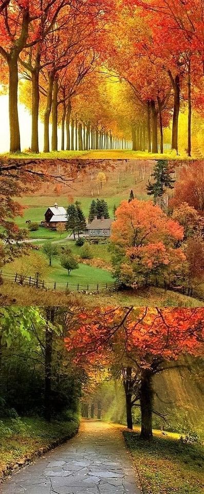 121480299_758240304723338_4243468192935975614_o