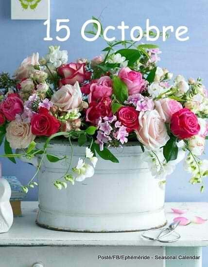 121549821_3384205365033860_5402083216681857866_n