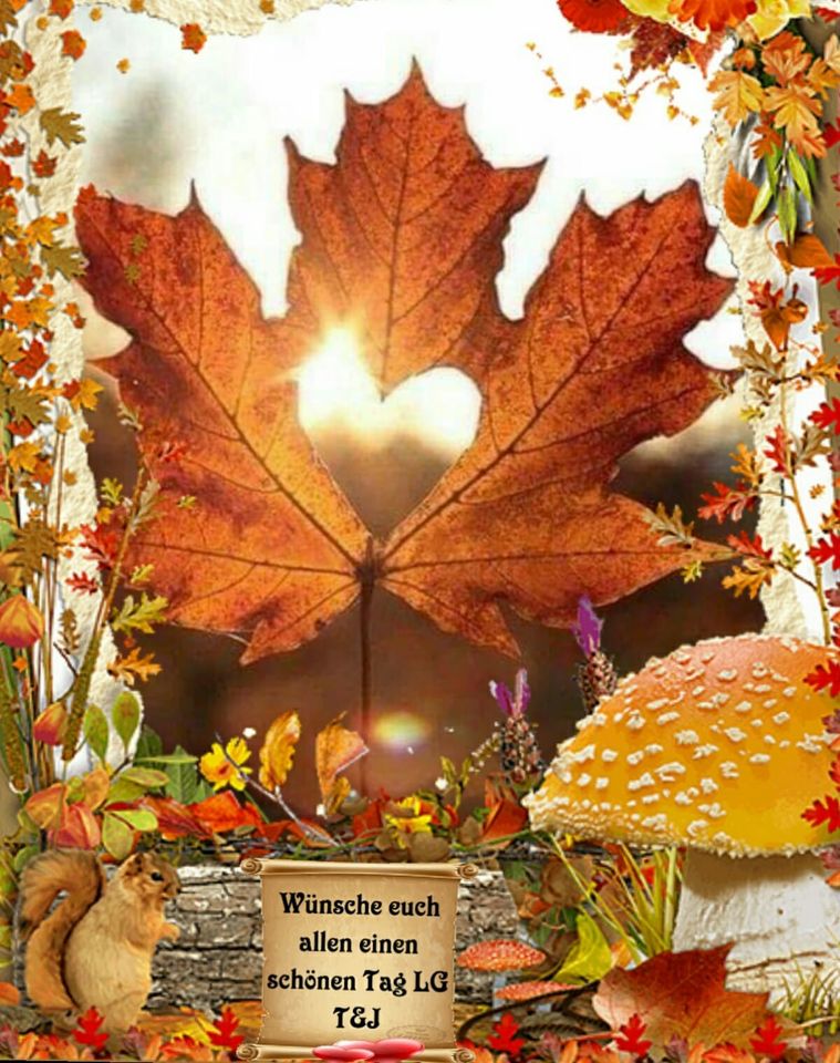 121651050_3442527545823319_400691896993573777_o