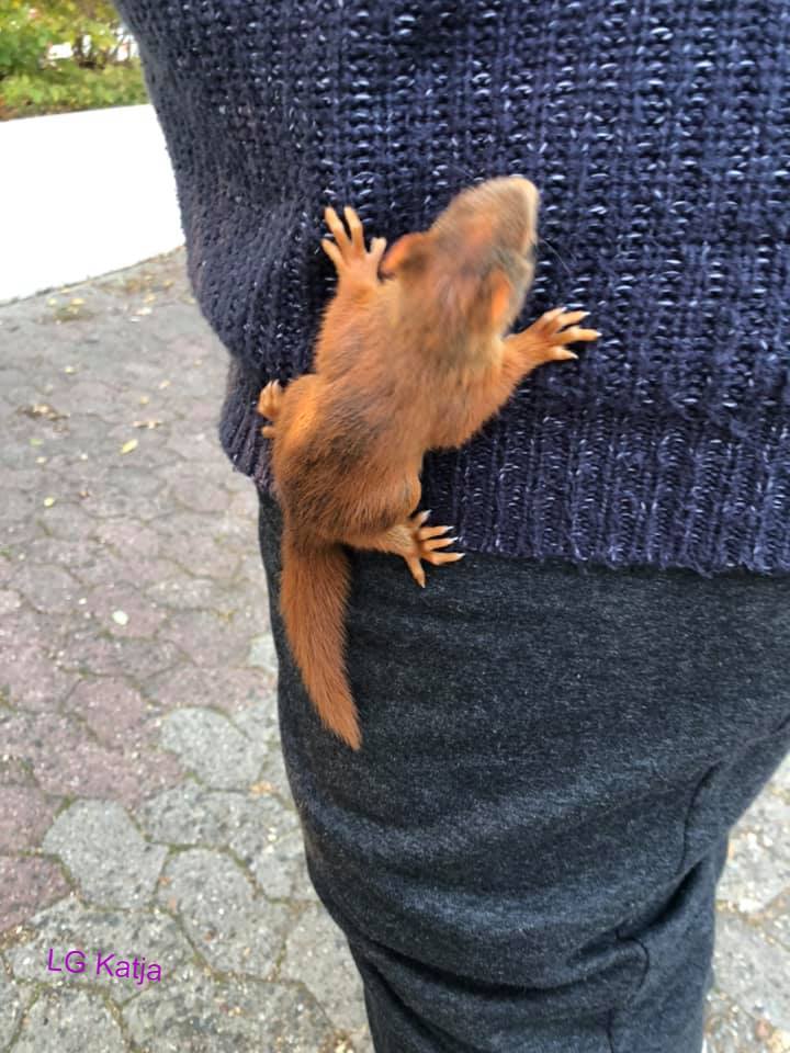 121728978_3428214823923795_5242317555043374573_n