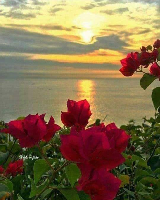 121792898_137188804794104_8741455612227394976_n