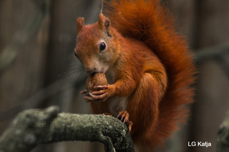 121962850_3428214427257168_7911111027043455256_n