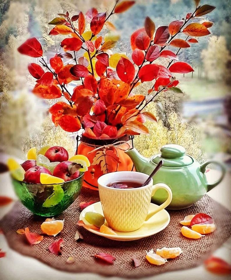 123138169_142741264238858_677841126816573860_o