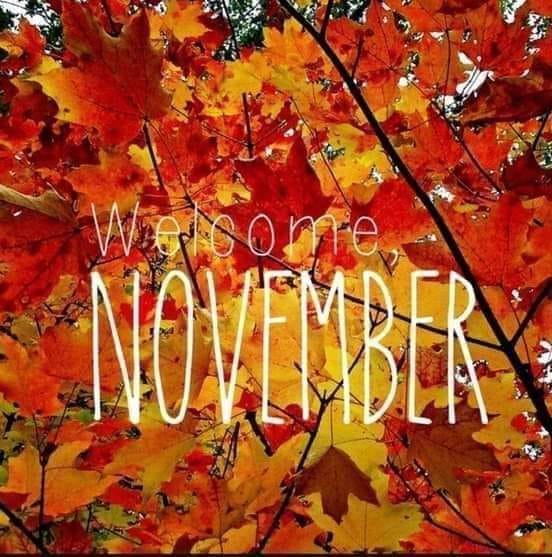 123183464_2688722718049549_2185894491494002816_n