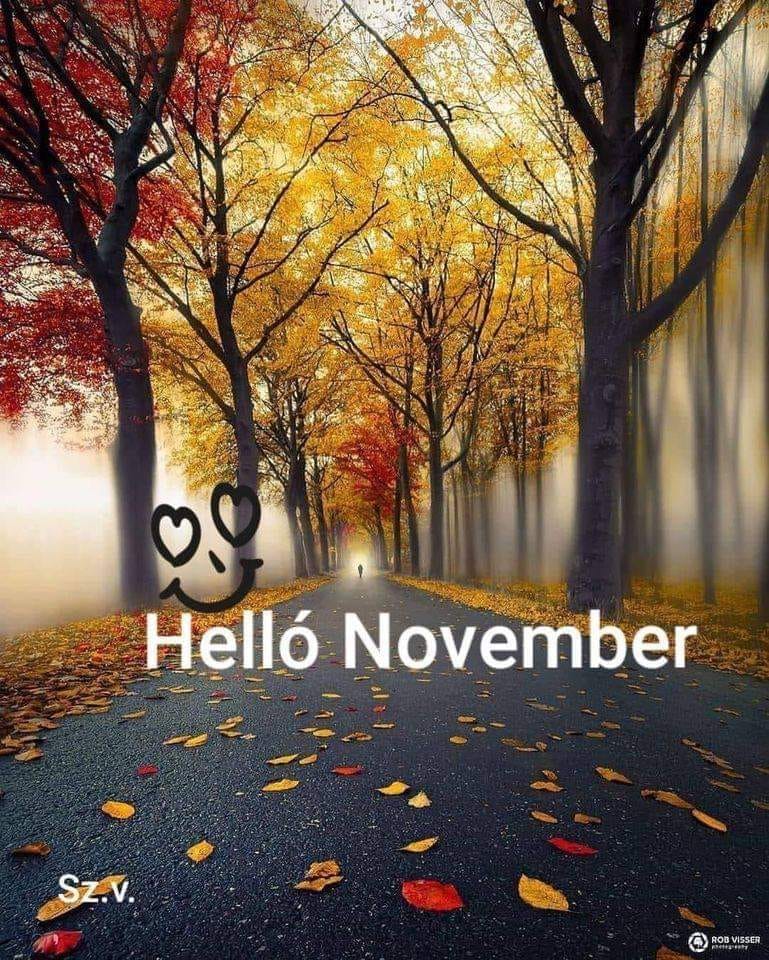 123343148_142886044224380_1776463517228672605_n