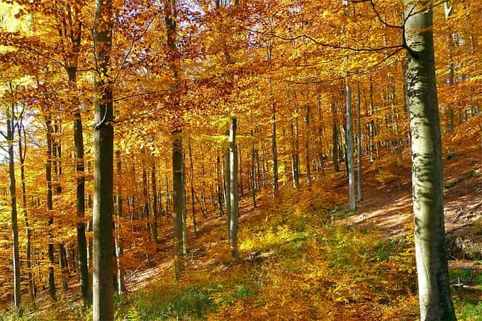 123361697_143119567534361_8358329927795366130_n