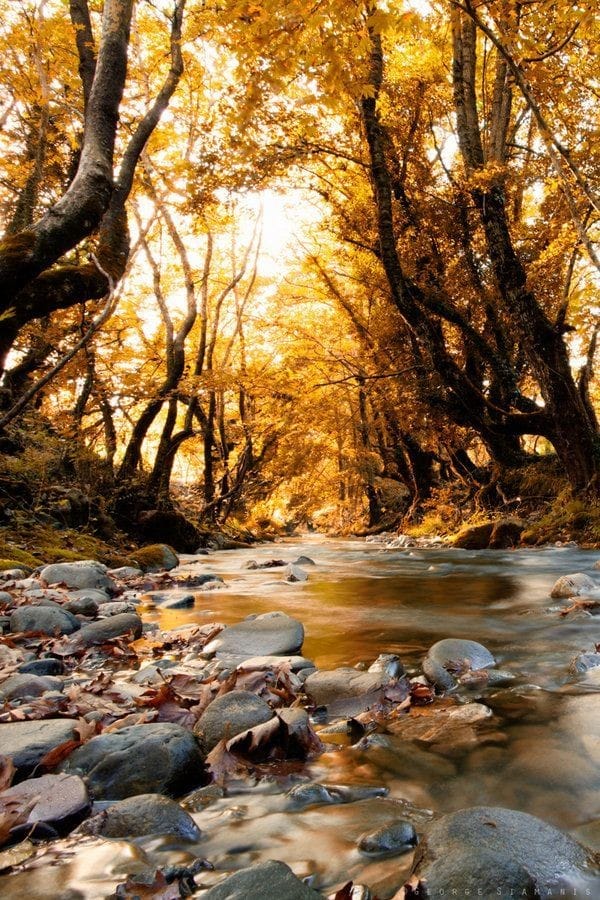 123959102_3395518687232908_4245021860763778172_n