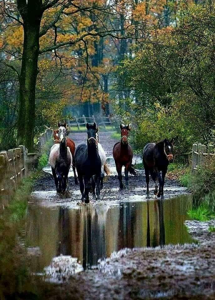 123993540_146219077224410_63778937253665777_n