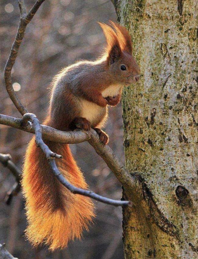 124027551_1040821089716579_1948222713029761128_n