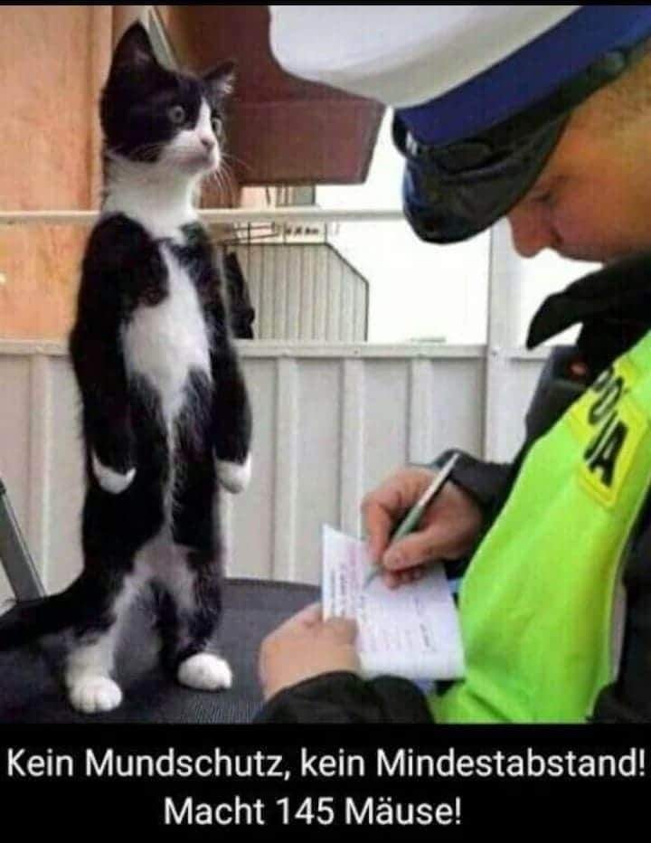 124029342_395807534791860_2787762727603850960_n