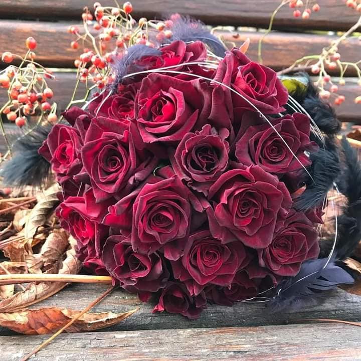 124180564_453829365589686_3603787127572495135_n