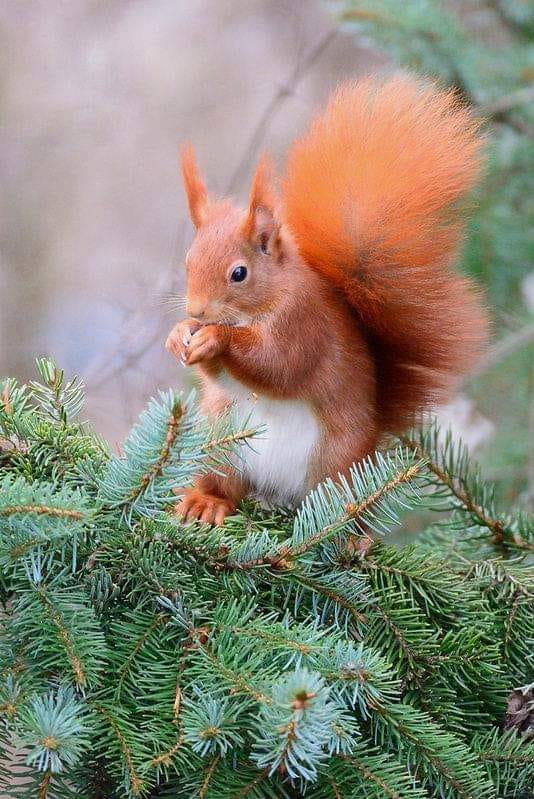 124223339_1041174196347935_954894403498562941_n