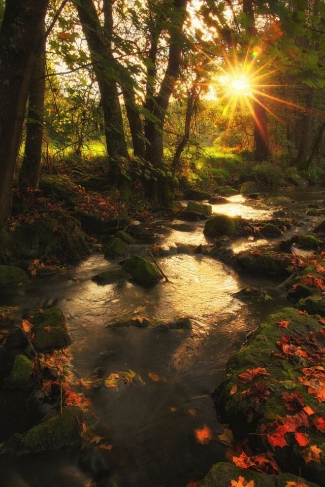 124223341_778455652701803_1013702507983527004_o