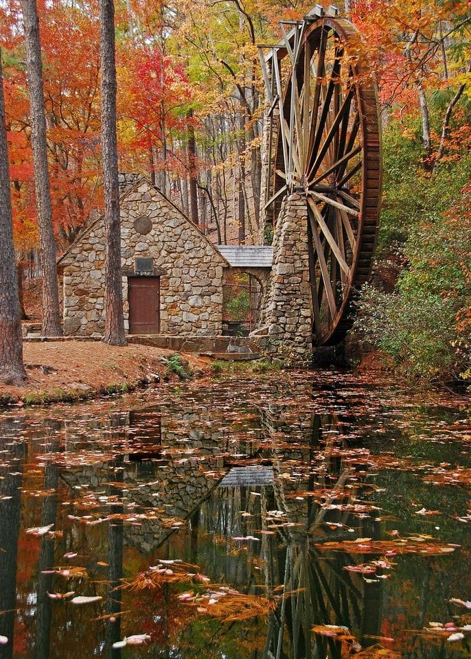 124753066_780891125791589_3938873940853896275_n