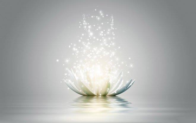 12495176_1081298265237793_7314553482735138417_n