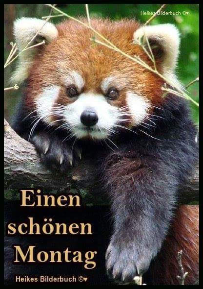 126899870_407049727000974_3051941533212414943_n