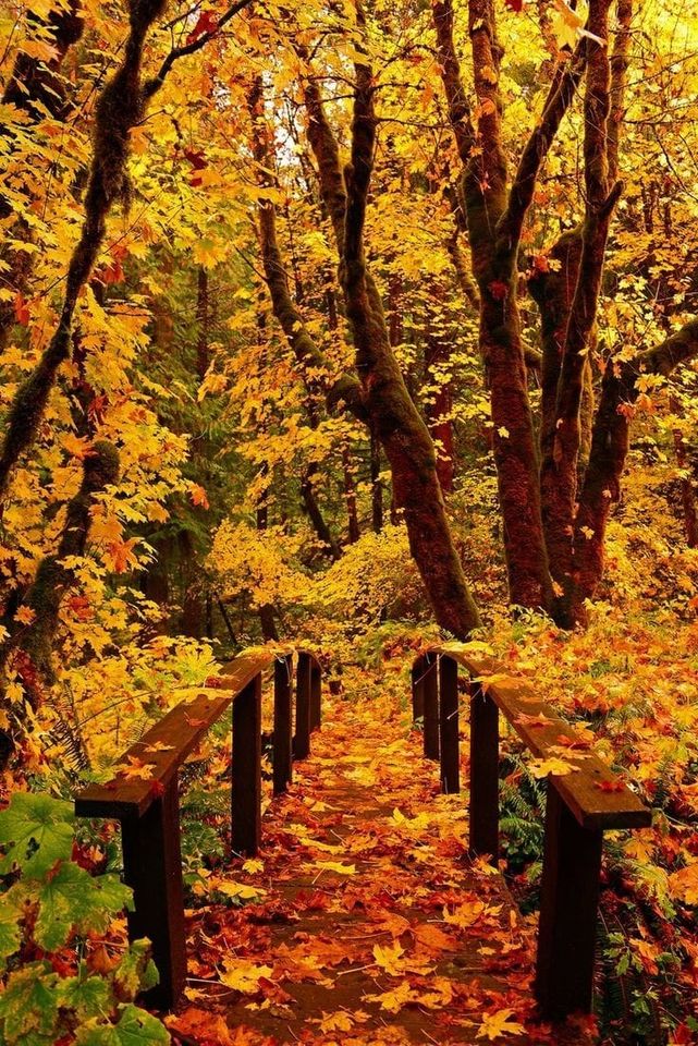 127065780_788982051649163_8558572726314043649_o