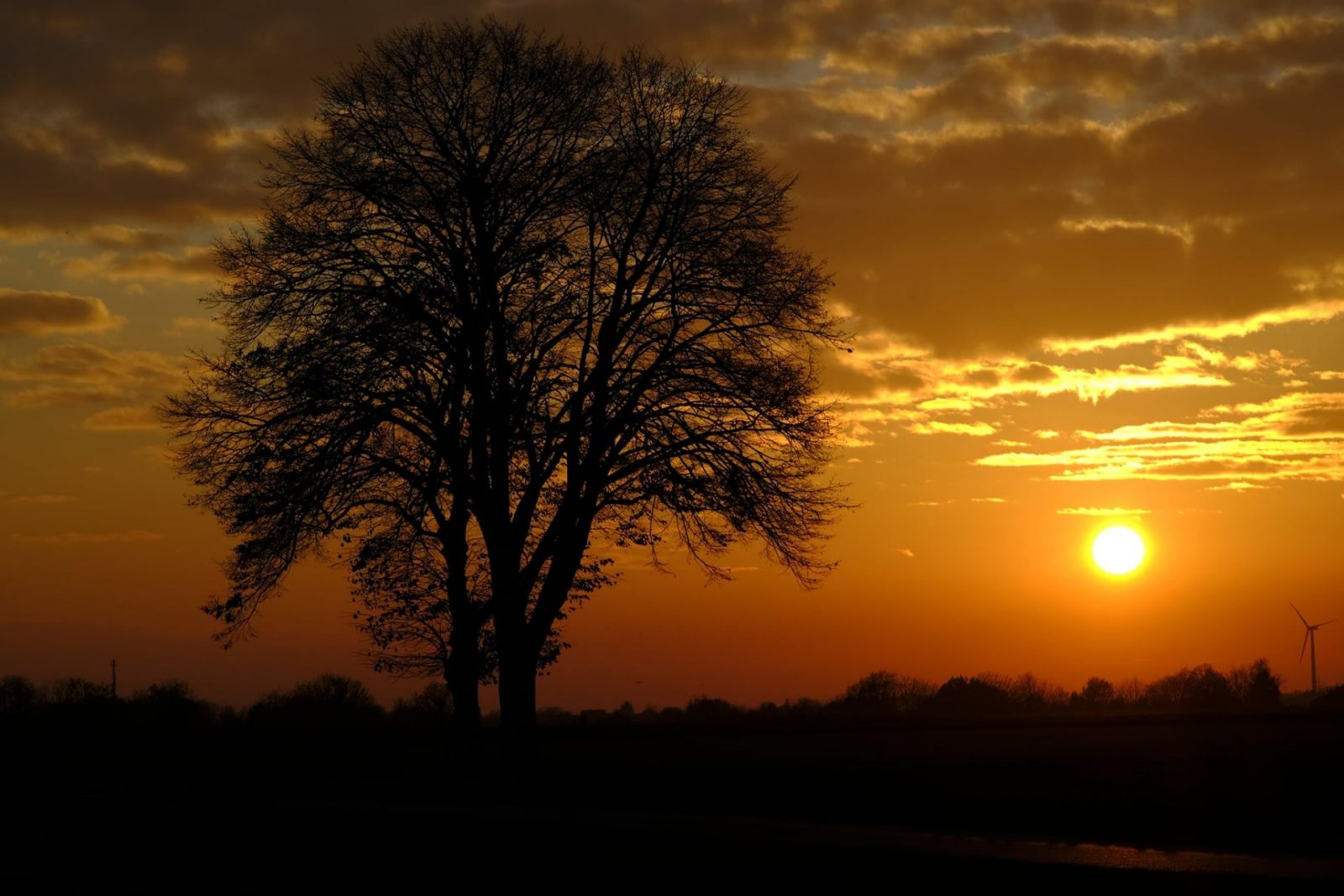 127522567_811231329723066_6298089040742839386_o (1)