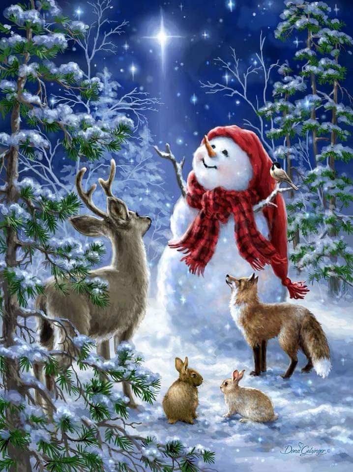 127890363_3564828986931334_1386696046868692162_n (1)