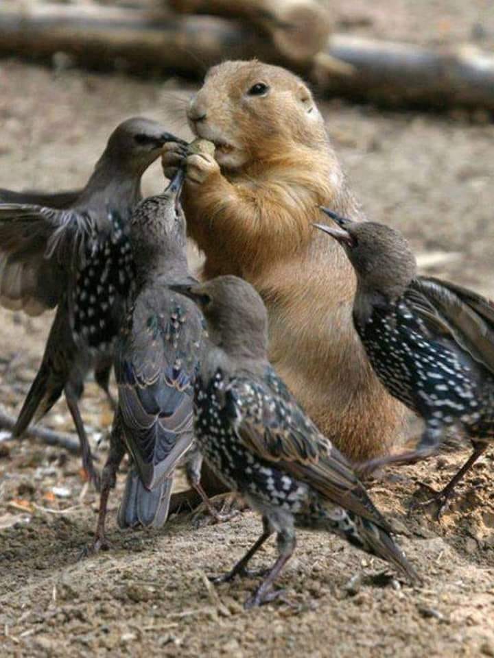 128120620_1296206404080430_7877977357107853225_n